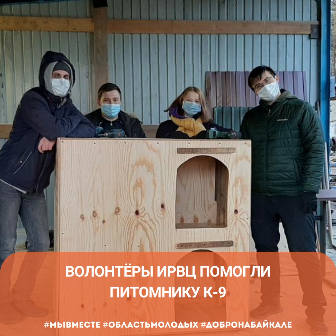 Волонтёры ИРВЦ помогли питомнику К-9